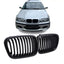 BMW E46 viengubos grotelės PRE LCI (97-01), matinės juodos