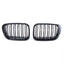 BMW E46 dvigubos grotelės PRE LCI (97-01), blizgios juodos