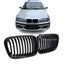 BMW E46 viengubos grotelės PRE LCI (97-01), matinės juodos