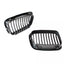 BMW E46 viengubos grotelės PRE LCI (97-01), matinės juodos